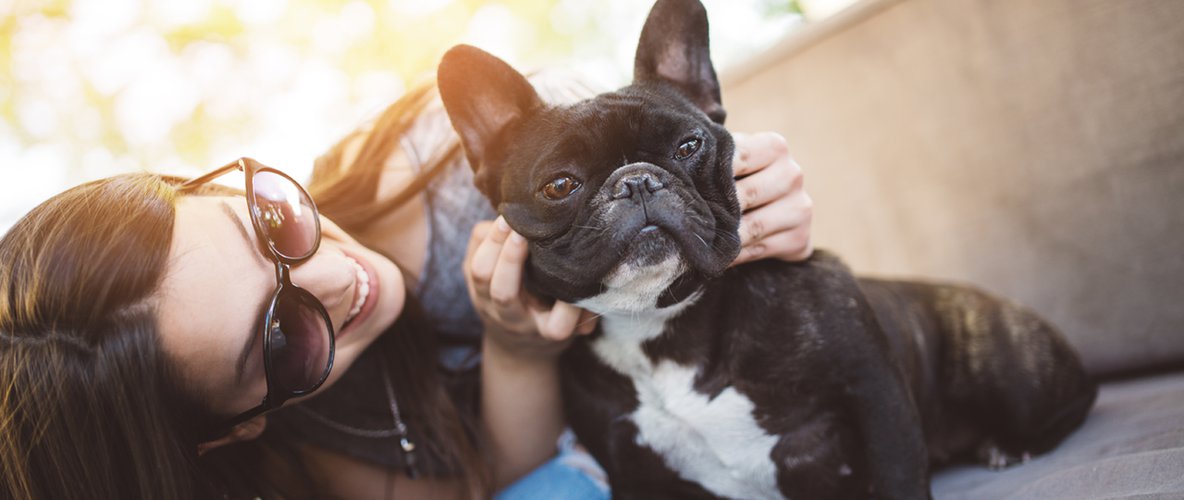 Teenage girl with dog The Highlands Apartments offers one, two, and three-bedroom apartment homes for rent in Charlotte, NC